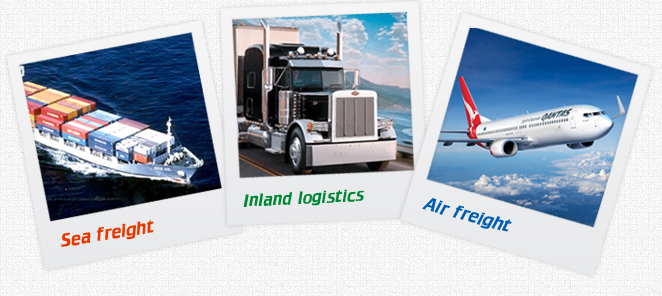 dich vu logistics gscvn